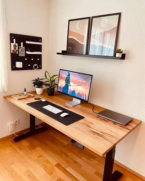 Rustic Minimalist Standing Desk Setup